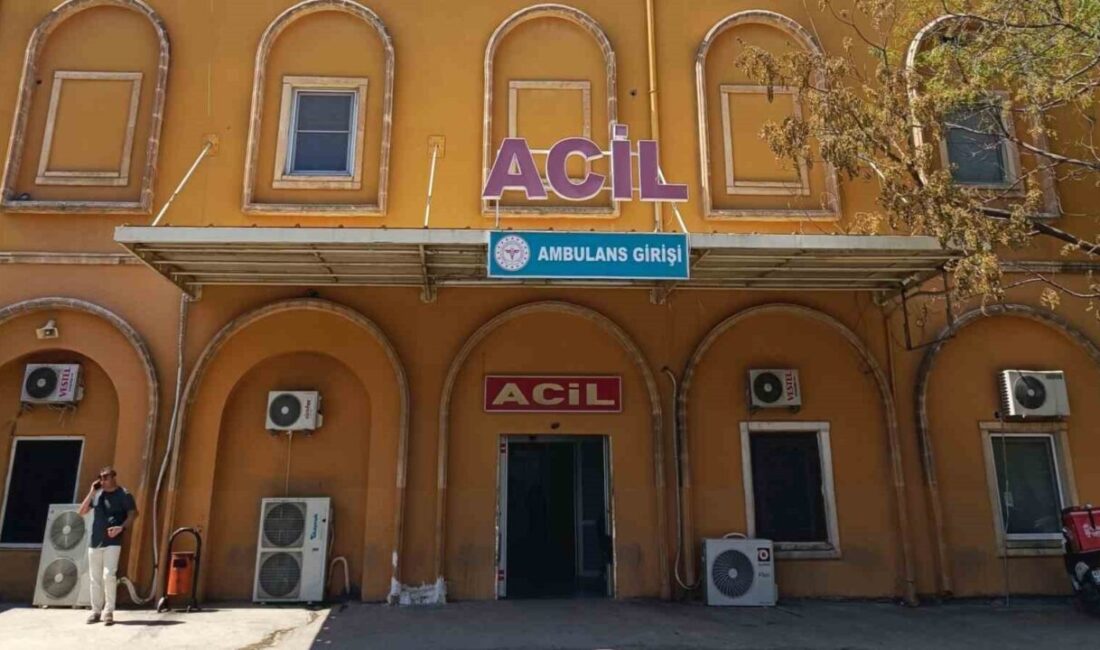 Mardin’in Kızıltepe ilçesinde tırın çarptığı yaşlı kadın hayatını kaybetti. Edinilen