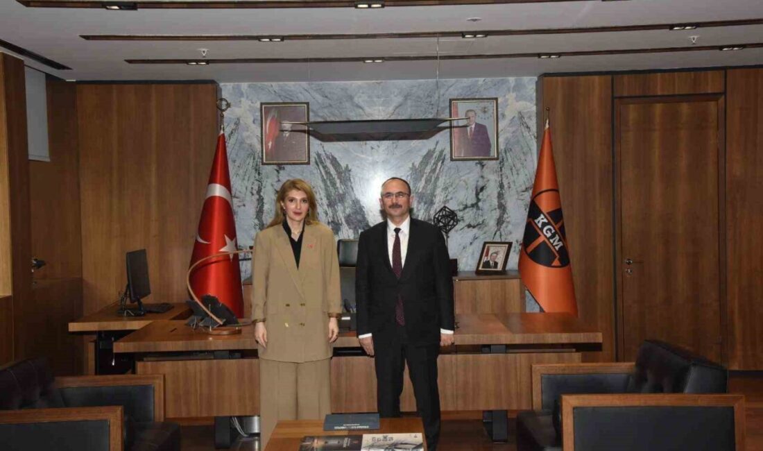 AK Parti Malatya Milletvekili İnanç Siraç Kara Ölmeztoprak, Karayolları Genel