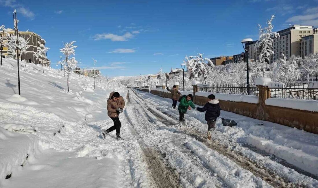 Muş’ta etkili olması beklenen kuvvetli kar yağışı ve buzlanma riski