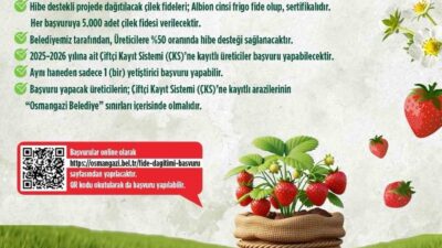 Osmangazi Belediyesi, tarımsal üretimi desteklemek ve yerel üreticiye katkı sağlamak