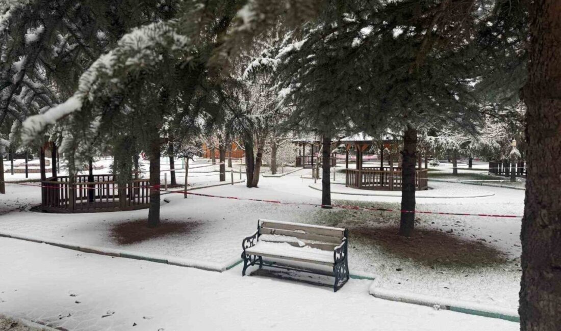 Ağrı’nın Patnos ilçesinde günlerdir beklenen kar yağışı etkisini gösterdi. Gece
