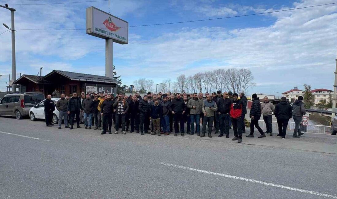 Lipton Rize’deki çay fabrikasını Özgür Çay’a satınca işçilerle tazminat pazarlığı