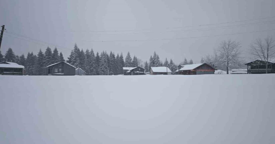 Sakarya’nın Hendek ilçesinde etkili olan yoğun kar yağışı ve buzlanma