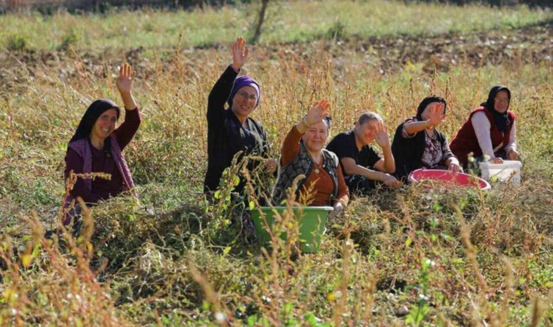 Samsun Büyükşehir Belediye Başkanı Halit Doğan, bitkisel ve hayvansal desteklerin