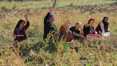 Samsun Büyükşehir Belediye Başkanı Halit Doğan, bitkisel ve hayvansal desteklerin