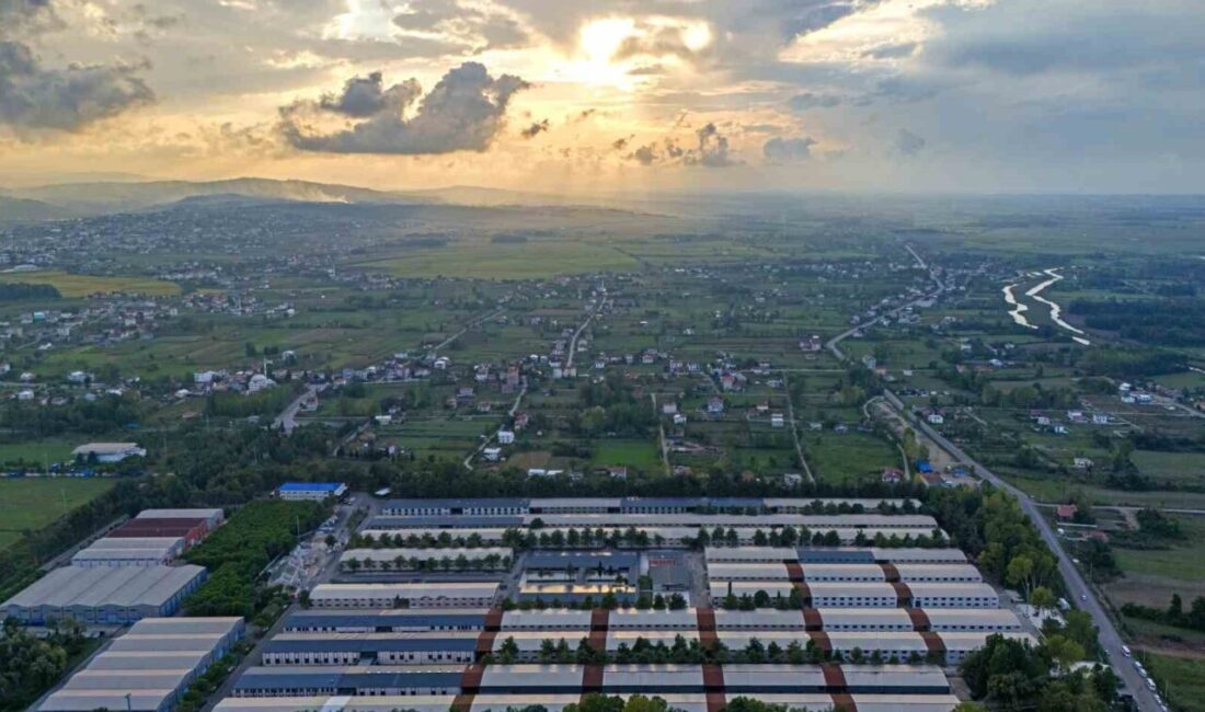 Samsun Üniversitesi (SAMÜ) 7 alanda Türkiye’nin ilk 20 üniversitesi arasında