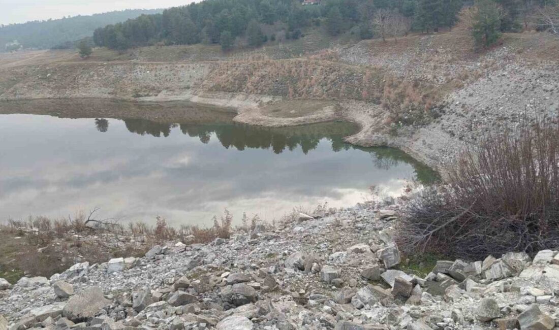 Manisa’nın Sarıgöl ilçesinde tarımsal sulamanın can damarı olan barajlardaki su