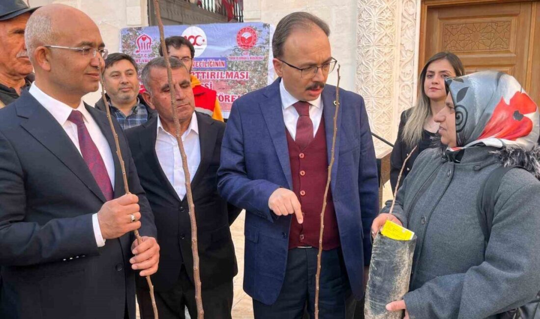 Siirt’te Vali Kemal Kızılkaya’nın katılımıyla hayata geçirilen iki proje kapsamında