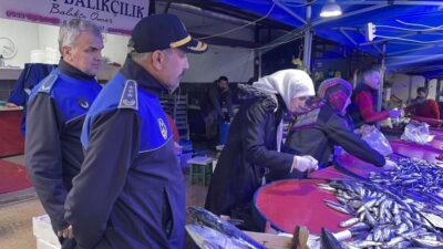 Bilecik’in Osmaneli ilçesinde vatandaşlardan gelen şikâyet üzerine balık tezgâhları denetlendi.