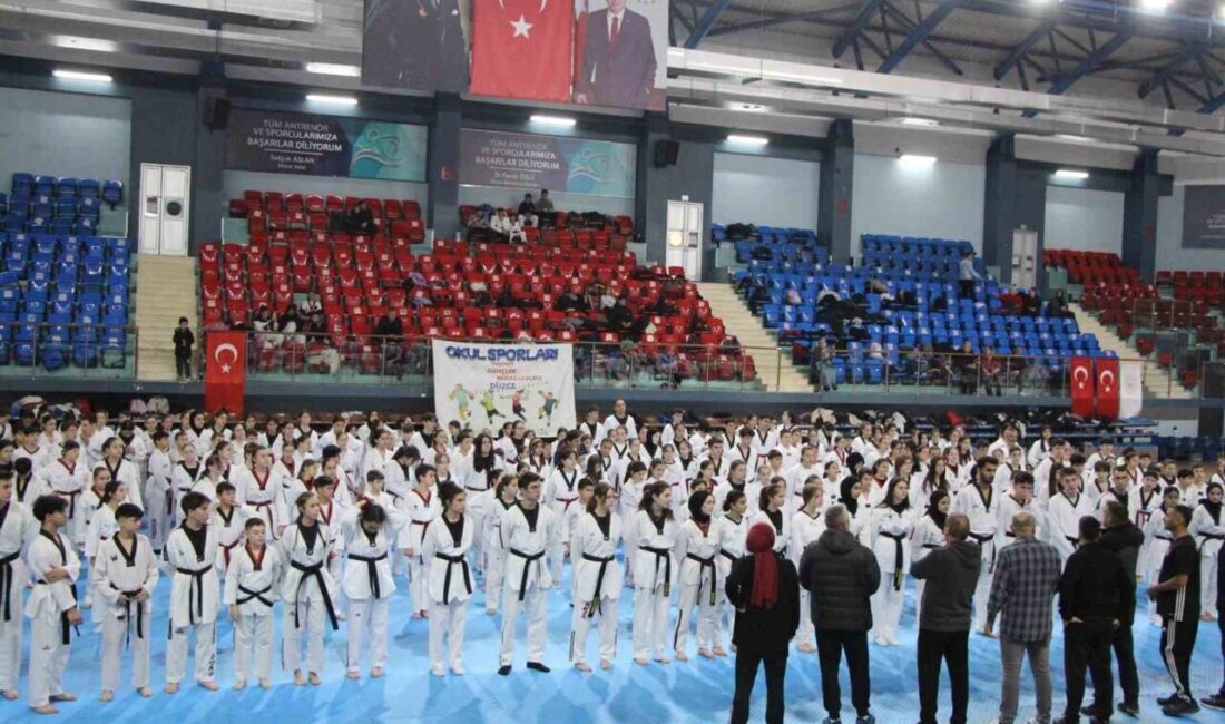 Türkiye Taekwondo Federasyonu’nun 2025 yılı faaliyet programı kapsamında yer alan