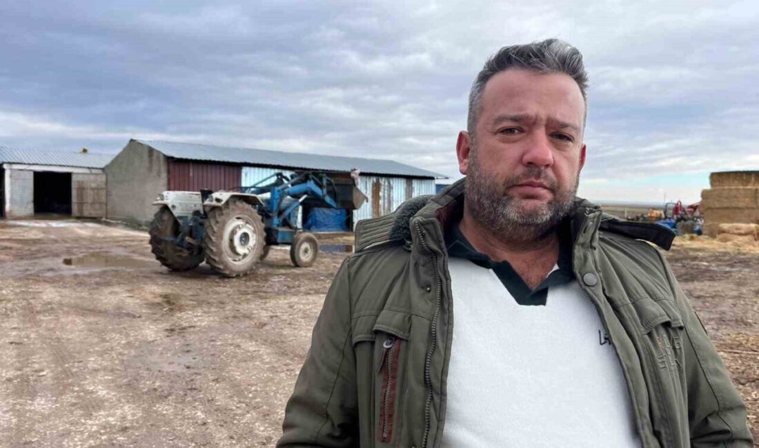 Eskişehir’de çiftçilik yapan Hüseyin Fırat Ekmen, Tepebaşı Belediyesi’nden kiraladığı tarım