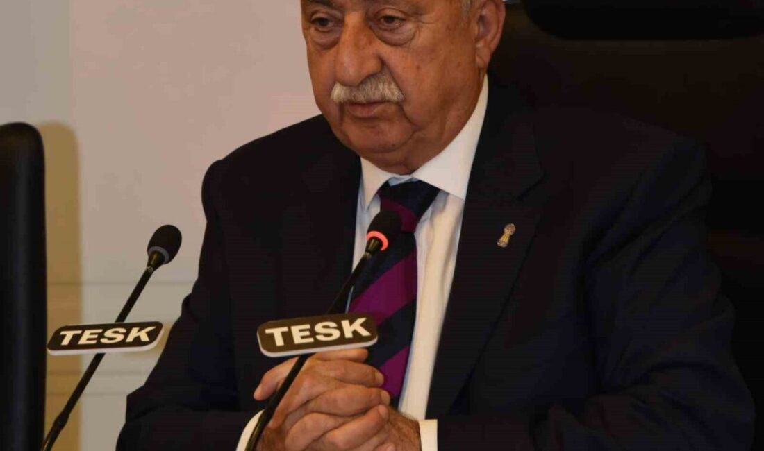 Türkiye Esnaf ve Sanatkarları Konfederasyonu (TESK) Genel Başkanı Bendevi Palandöken,