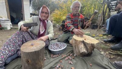 Antalya’nın İbradı ilçesinde Toros Dağları’nda andız ağaçlarından toplanan kozalaklardan pekmez