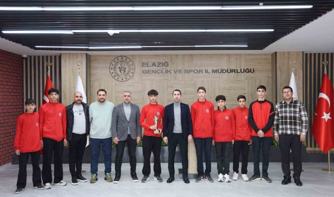 Elazığ Gençlik ve Spor Kulübü, 2. Lig Play-Off müsabakalarında ilk