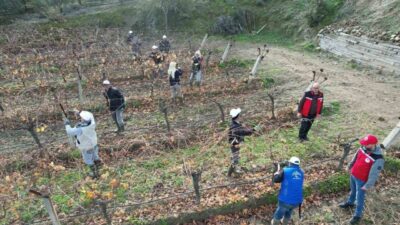 Manisa İl ve İlçe Tarım ve Orman Müdürlüğü teknik ekipleri,