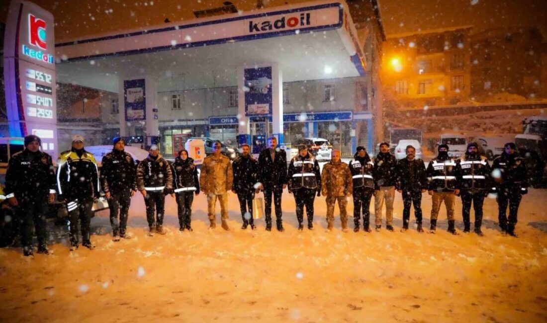 Hakkari Valisi Ali Çelik ve beraberindekiler, ildeki kontrol noktalarında görev