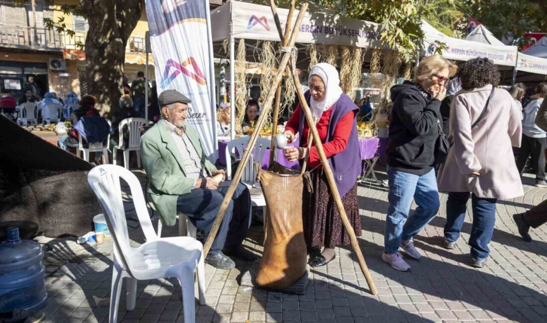 Mersin Büyükşehir Belediyesi Kadın ve Aile Hizmetleri Dairesi Başkanlığı bünyesinde
