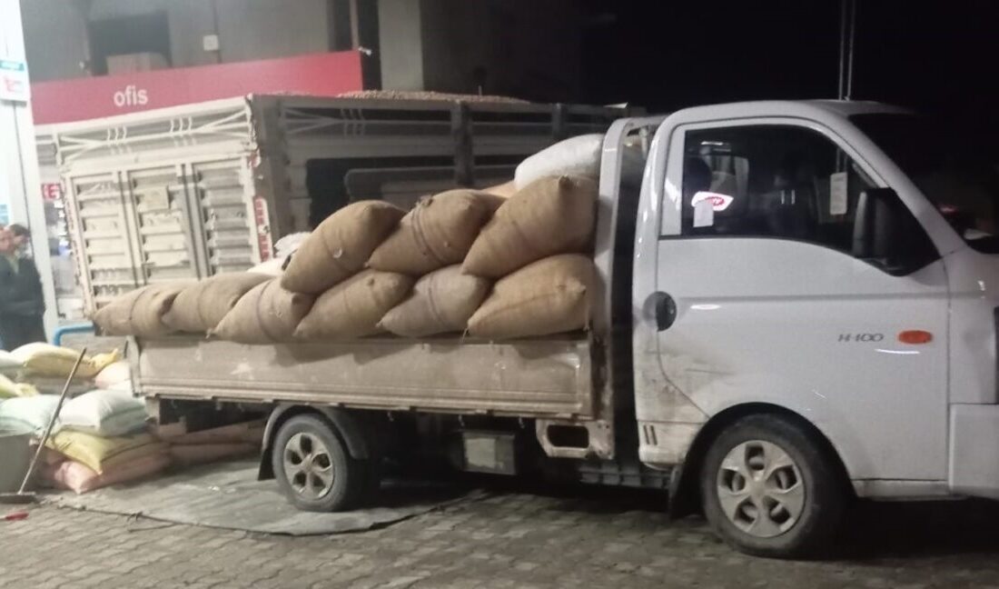 Zonguldak’ın Alaplı’da serbest piyasada fındık fiyatları yükselişe geçti. Yaklaşık 10