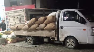 Zonguldak’ın Alaplı’da serbest piyasada fındık fiyatları yükselişe geçti. Yaklaşık 10