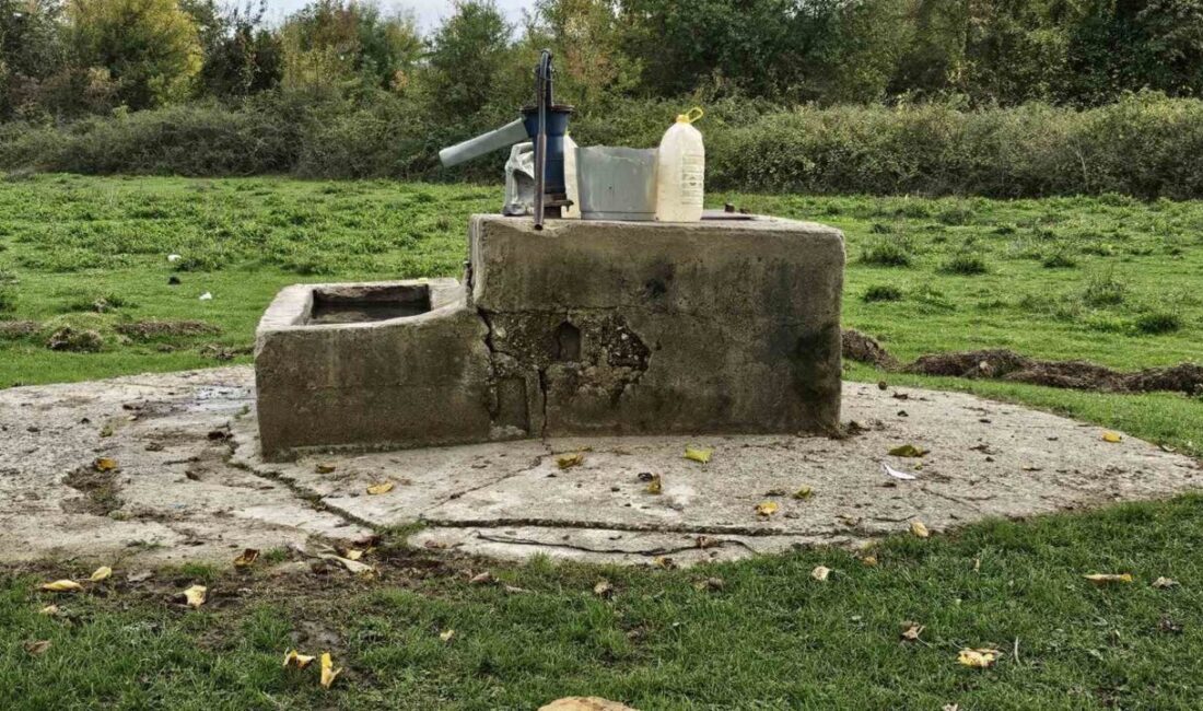 Zonguldak’ta asayişten, sağlığa, ekonomiden, siyaset ve kültür-sanata birçok alanda yaşananların