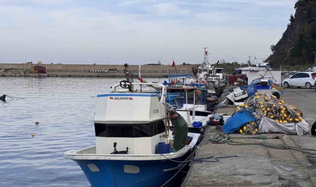 Zonguldak Kilimli Su Ürünleri Kooperatifi Müdürü Bülent Aksu, Zonguldak’ta balıkçılık