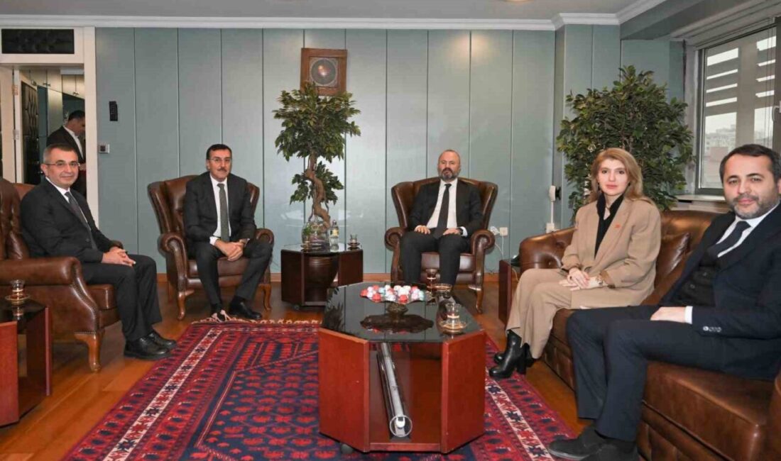 AK Parti Malatya Milletvekili İnanç Siraç Kara Ölmeztoprak, yapılan yoğun