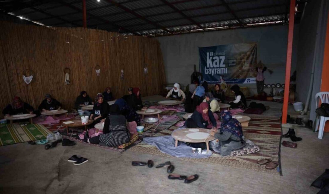 Kocaeli Büyükşehir Belediyesi’nin katkılarıyla bu yıl 5’incisi düzenlenecek Kaz Bayramı