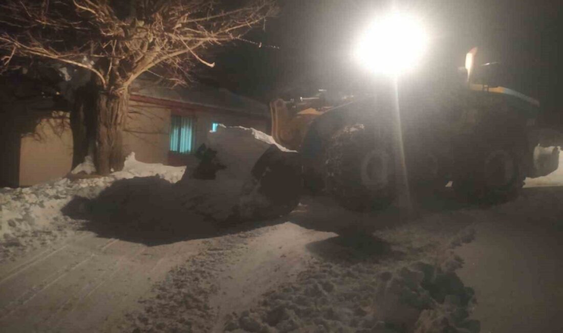 Diyarbakır Büyükşehir Belediyesi, Lice ilçesinde etkili olan yoğun kar yağışı