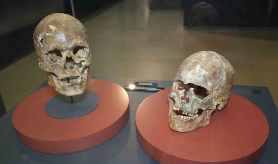 Samsun genelinde bulunan 10 resmi müze, 2025 yılında 800 bine