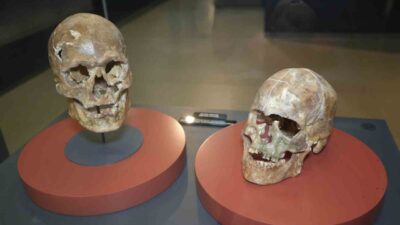 Samsun genelinde bulunan 10 resmi müze, 2025 yılında 800 bine