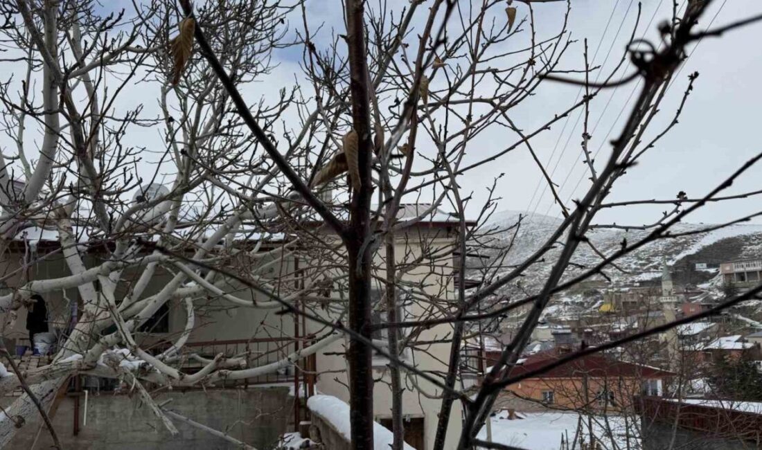 Adana ve çevresinde son 52 yılı en kurak zamanını geçiren