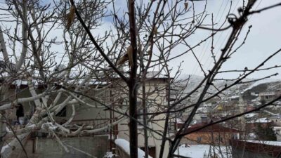 Adana ve çevresinde son 52 yılı en kurak zamanını geçiren