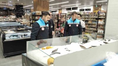 Muğla Tarım ve Orman Müdürlüğü ekipleri tarafından eş zamanlı düzenlenen