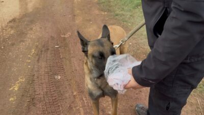 Balıkesir’in Erdek ilçesinde 7 gündür kendisinden haber alınamayan Elif Kumal’ı