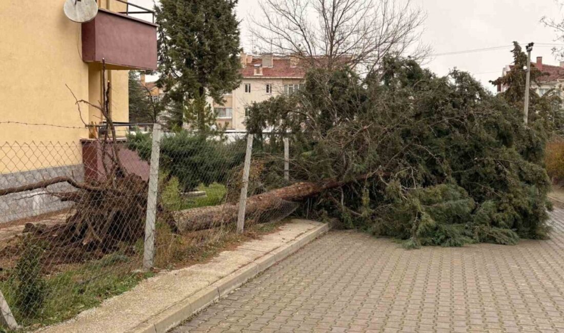 Eskişehir’de meydana gelen fırtına sonucunda, 75. Yıl Mahallesi’nde çevre büyük