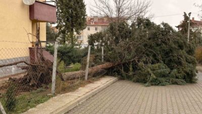 Eskişehir’de meydana gelen fırtına sonucunda, 75. Yıl Mahallesi’nde çevre büyük