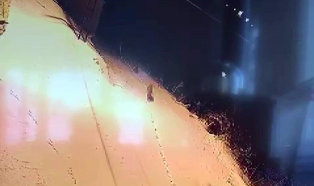 Sivas’ın Gürün ilçesinde şehre inen kurt sürüsü görüntülendi. Sibirya soğuklarının