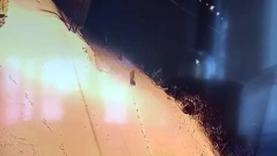 Sivas’ın Gürün ilçesinde şehre inen kurt sürüsü görüntülendi. Sibirya soğuklarının