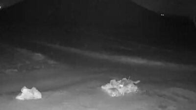 Nevşehir’de aç kalan kurtların köye indiği görüntüler güvenlik kameralarına yansıdı.