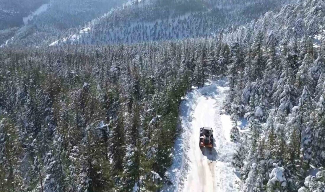 Adana’nın Feke ilçesinde katran ve kızılçam ormanları beyaz örtüyle kaplanırken,