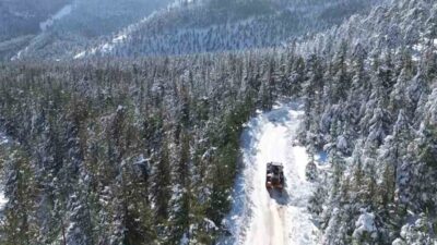 Adana’nın Feke ilçesinde katran ve kızılçam ormanları beyaz örtüyle kaplanırken,