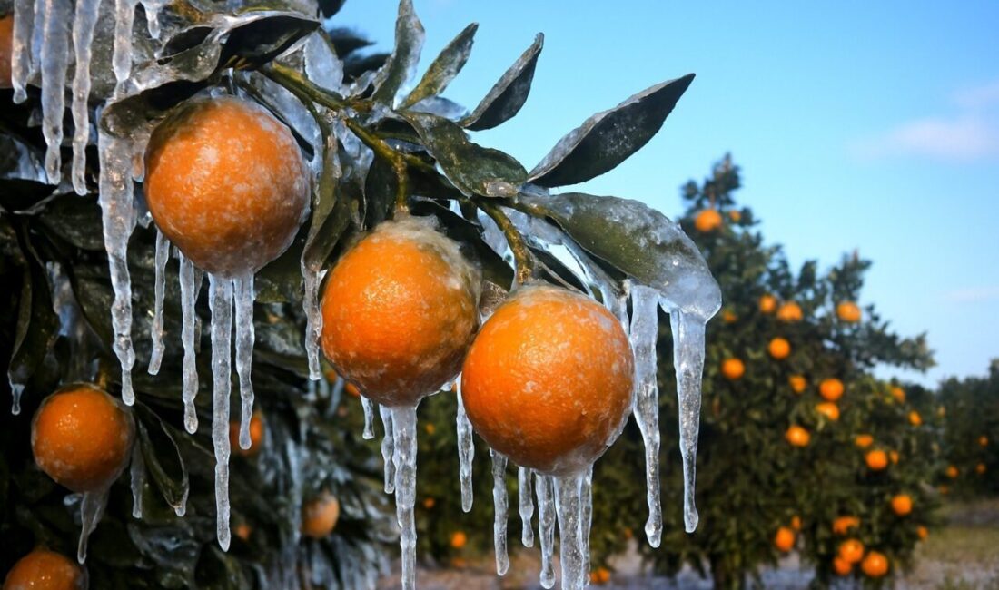 Karadeniz üzerinden gelen soğuk hava dalgası nedeniyle Adana’da meteoroloji verilerine