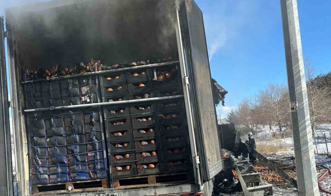 Adana’da otoyolda narenciye yüklü tır alevlere teslim oldu. İtfaiye ekipleri