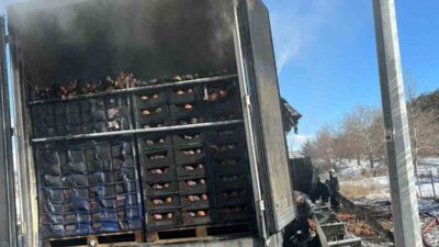 Adana’da otoyolda narenciye yüklü tır alevlere teslim oldu. İtfaiye ekipleri