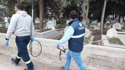 Adana’da Akkapı Mahallesinde sürü halinde gezen sokak köpekleri nedeniyle vatandaşlar