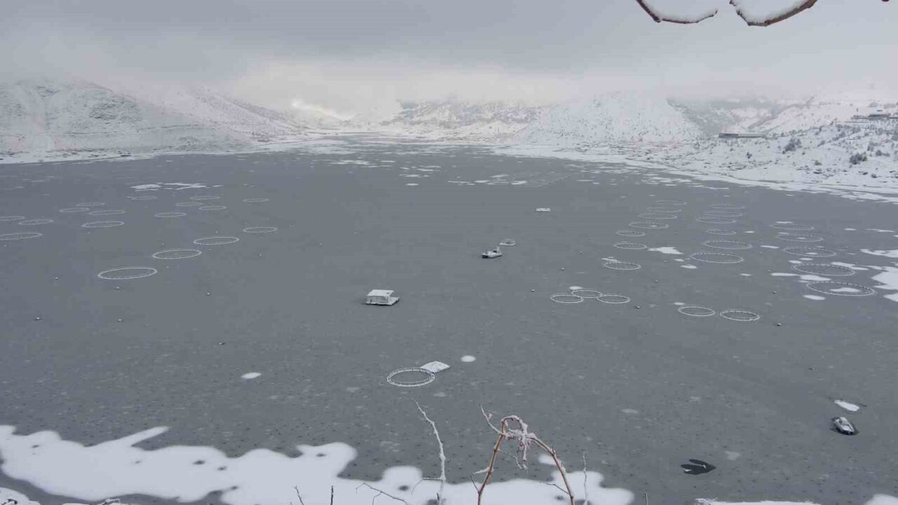 Adıyaman’ın Çelikhan ilçesinde yüzen adaların yer aldığı Çat Barajı’nın yüzeyi
