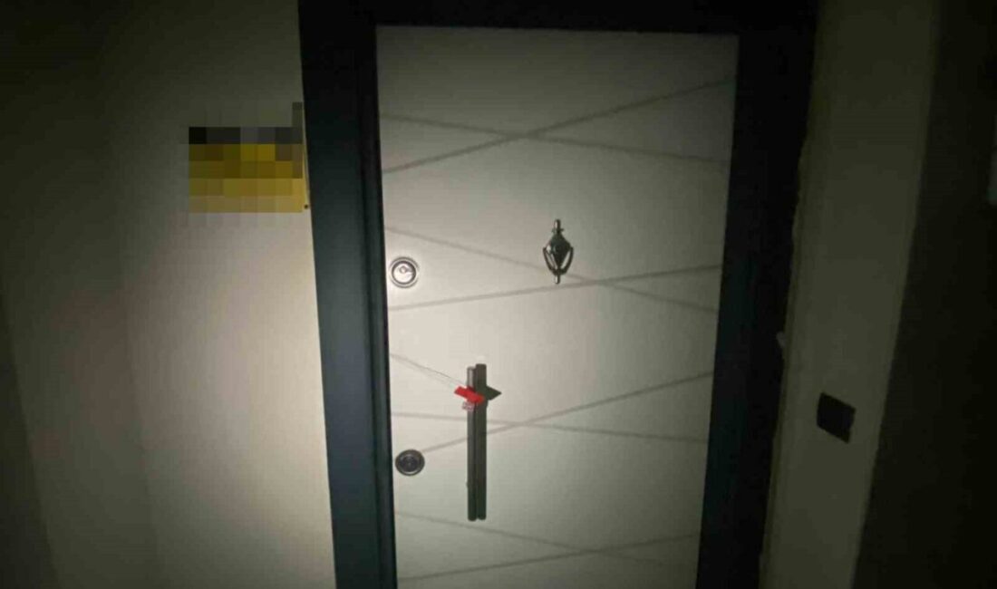 Adıyaman’da polis ekiplerince düzenlenen fuhuş operasyonunda 3 kişi gözaltına alındı.