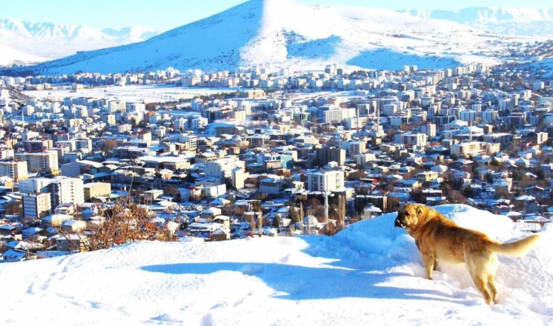 Kahramanmaraş’ın Afşin ilçesinde kar yağışı sonrası güzel görüntüler ortaya çıktı.
