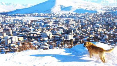 Kahramanmaraş’ın Afşin ilçesinde kar yağışı sonrası güzel görüntüler ortaya çıktı.