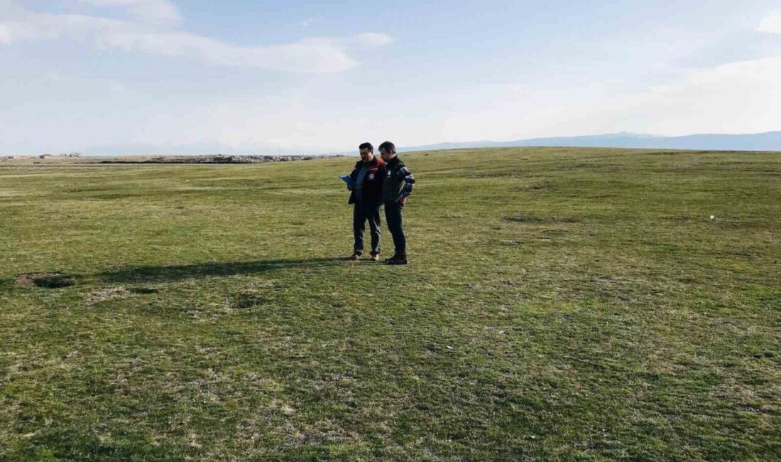 Afyonkarahisar’da besicilikte önemli bir yere sahip olan meralarla ilgili teknik